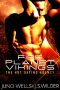 [Hot Dating Agency 01] • Fire Planet Vikings (Hot Dating Agency Book 1)